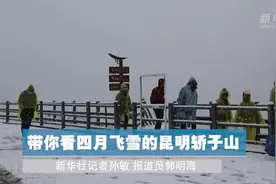 带你看四月飞雪的昆明轿子山视频封面