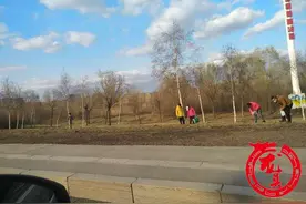 “挖菜族”现身松北大道！专家：易受汽车尾气污染，别吃图片