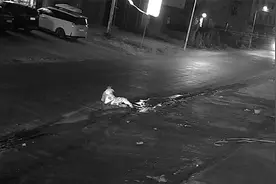 倒在三辆车下图片