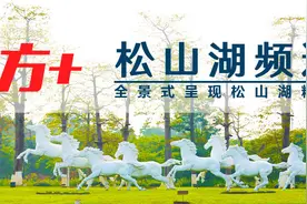 松山湖三所学校电脑派位结果出炉！你家孩子中签了吗？图片