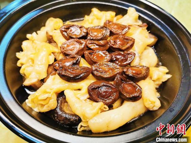 真赤鱼花胶煮熟的图片大全 2026年赤鱼胶的功效和作用