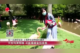 20200429《今日印象》：五一出游好去处  上海野生动物园乐趣多视频封面