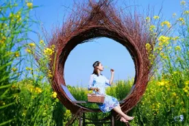 五一荐景！邹平长丰农场：油菜花田+紫藤长廊 +玻璃风铃 给你最浪漫享受图片