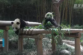 “嗨，好久不见！”