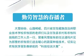 手绘｜致敬高原上那些最美劳动者图片