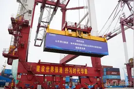 青岛到马来西亚首条直达航线开通 越南火龙果海运5天可抵达青岛图片