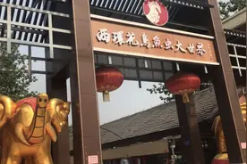 喜欢逛花鸟市场的市民注意啦！西环花鸟鱼虫大世界五一开始营业了视频封面