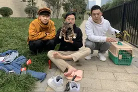 探访流浪猫救助平台“和猫住”：一年救助超300只流浪猫，背后也有纠结和痛苦图片