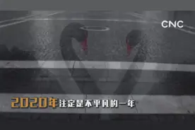 警惕“黑天鹅” 防范“灰犀牛” 我们应该怎样应对危机？视频封面