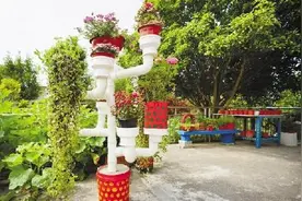 “水管盆栽”引围观 海宁这位水电工打造的花园不一般图片