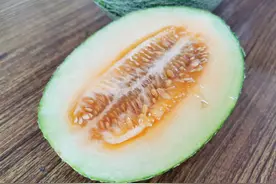 金山本地头茬哈密瓜上市，每斤10元左右图片