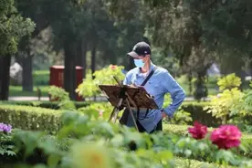 北京：95万游客畅游公园 感受假日生活图片