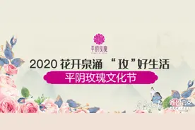 花开泉涌 ‘玫’好生活｜2020济南平阴玫瑰文化节开幕图片