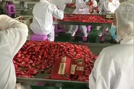 复工复产｜山东无棣：食品企业调整策略 加快复工复产视频封面