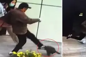 女子遛狗未拴绳，大爷一脚把狗踹飞，网友吵翻了图片