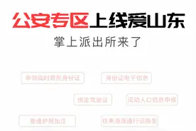 掌上派出所上线“爱山东”APP，足不出户办理公安业务图片