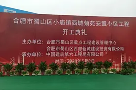 2228户！蜀山区运河新城最大安置项目开工！（含项目图）图片