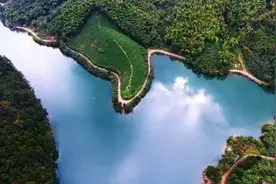 千亩杜鹃、万亩竹林...无限风景，还要看百味百丈！丨一镇一品⑨图片