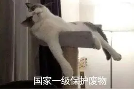 比匡威更便宜好看的帆布鞋，我给你们找了100双图片