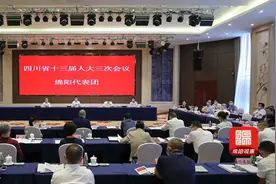 绵阳代表团举行全体会议 刘超元方付康等参加图片