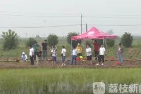 宿迁这个镇入围国家级农业产业强镇图片