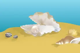 你知道晶莹夺目的珍珠是如何形成的吗？图片