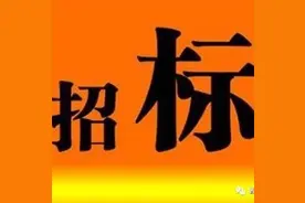 辽宁锦州100MW平价上网小EPC项目招标图片
