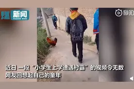 男孩上学遭遇公鸡拦路，下一秒被追得狼狈逃窜，网友：这是童年啊图片