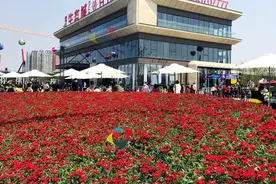 临沂两条主线年内通车，北上东进西拓南下，罗庄房价又得涨一波？图片