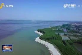 八百里东平水泊再现昔日美景！引得全国各地影友不远千里过来拍鸟图片