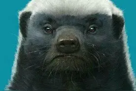 麒麟区一中2020年高考600分以上35人图片