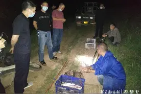 民警芦苇荡中蹲守4个多小时，深夜抓获非法捕鱼团伙图片