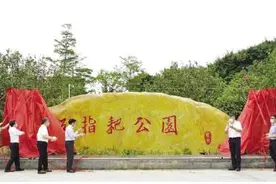 松岗首座城市生态公园五指耙公园开园啦图片