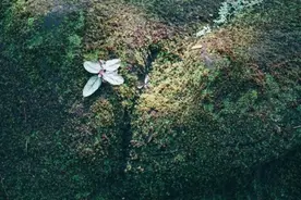 爱发朋友圈的人，都是什么人？图片