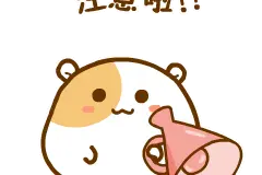 今日起，赴澳门旅游签注恢复办理啦！这些事要注意……图片