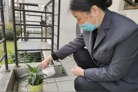 晒被子、寄行李……她们这样给学生“远程宠爱”！这届宿管阿姨太暖了｜特别关注图片