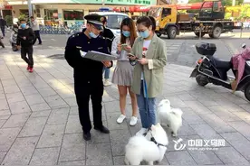 “养犬码”来啦！义乌正式推行“一犬一码”管理机制图片