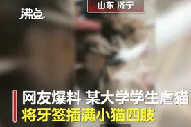 烟台南山学院回应学生虐猫：同意当事学生的退学申请图片