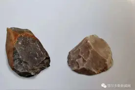 鄂尔多斯古代先民的劳动工具图片