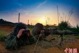 武警安顺支队狙击手野外训练 磨砺专业技能图片