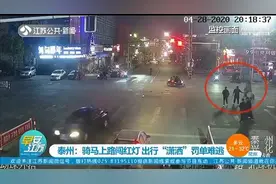 江苏泰州几个年轻人骑马上路闯红灯 出行“潇洒”但罚单难逃图片