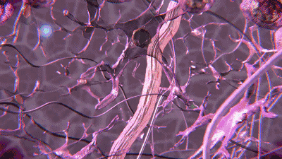 长期吃胶原蛋白有什么副作用 2026年长期吃胶原蛋白有什么副作用和危害