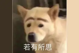 520送礼指南！女朋友看了夸你超会买图片