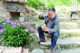 洛阳钼业借消费扶贫助群众致富见效图片