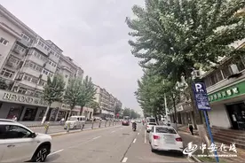 杨絮纷飞时何时休？安徽林业部门：五月下旬飘絮会逐渐消失图片