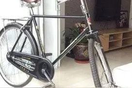 母亲是村里第一个女秀才，也是第一个拥有“永久”牌自行车的人图片