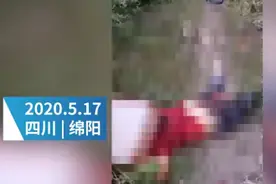 四川江油黑熊咬死3村民！母亲被袭孩子逃过一劫，知情者还原事发情景图片