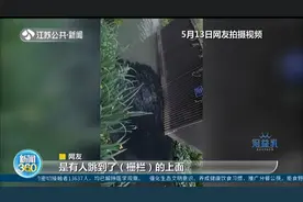 南京：雨天污水大量流入珍珠河，河水变"墨汁"，工作人员解释……视频封面