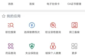阿姨爷叔们，手把手教您掌上查询养老金图片