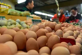 吃鸡蛋损害心脏？啤酒+鸡蛋可以补身体？这些养生“秘笈”很多人毫不知情图片